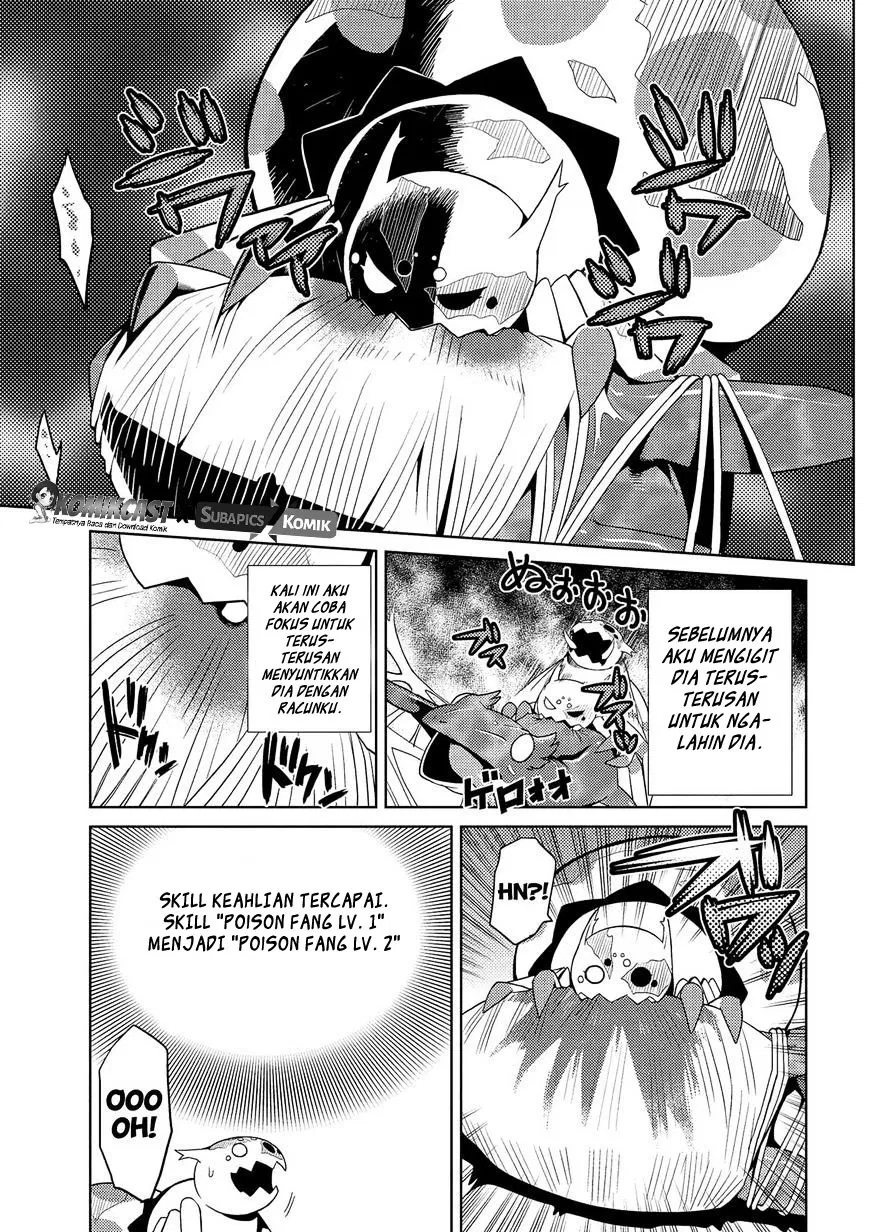 kumo-desu-ga-nani-ka - Chapter: 03
