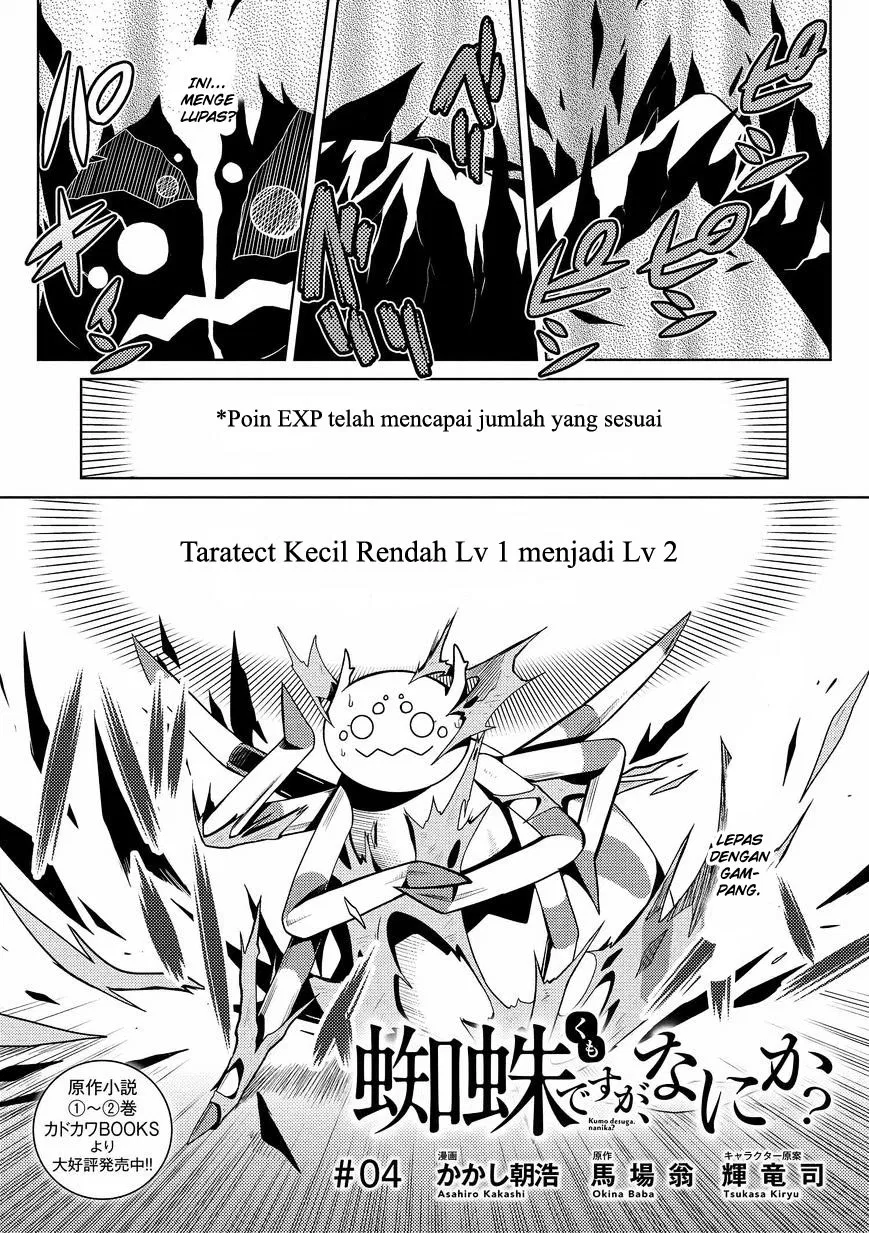 kumo-desu-ga-nani-ka - Chapter: 04