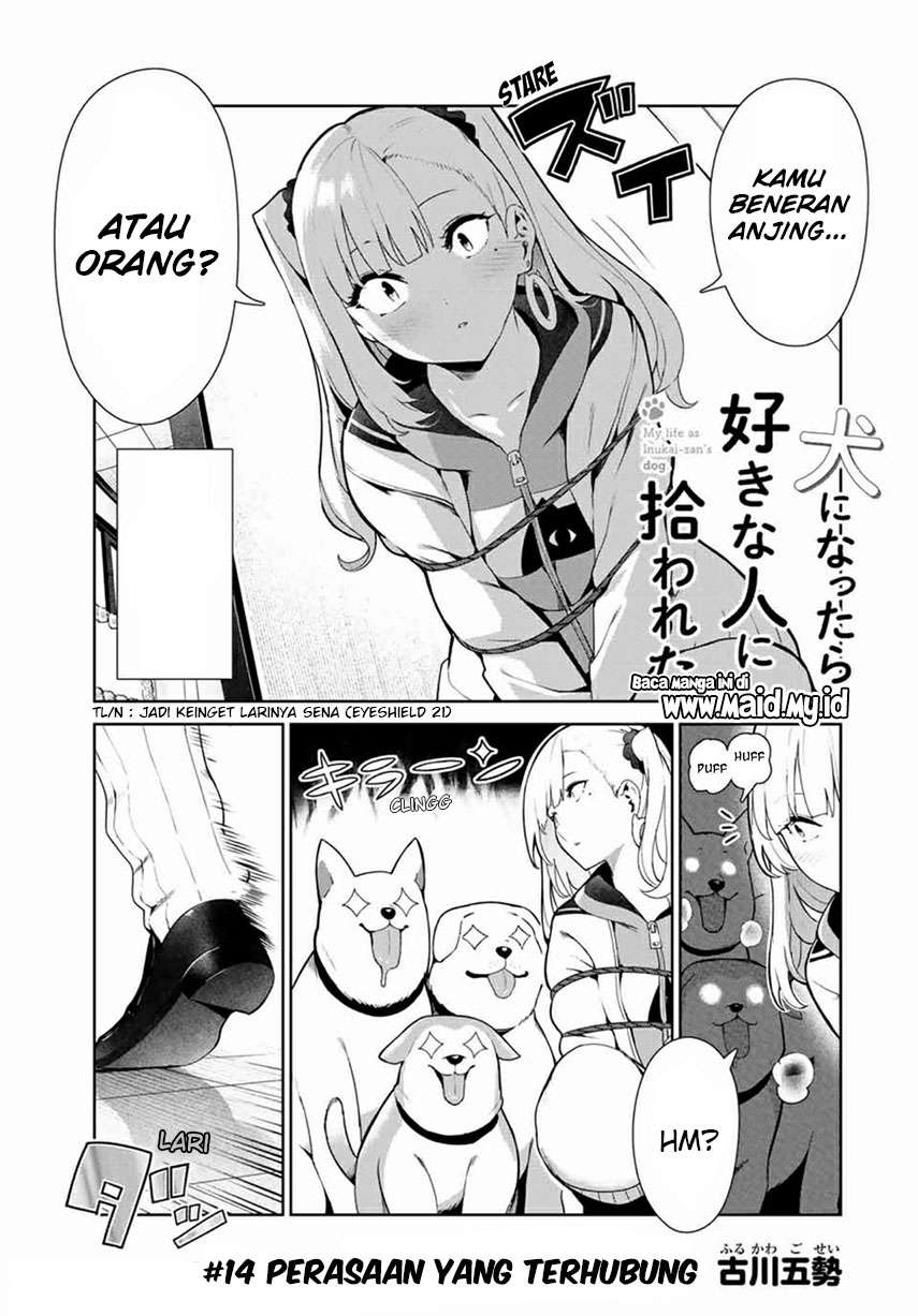 inu-ni-nattara-suki-na-hito-ni-hirowareta - Chapter: 14