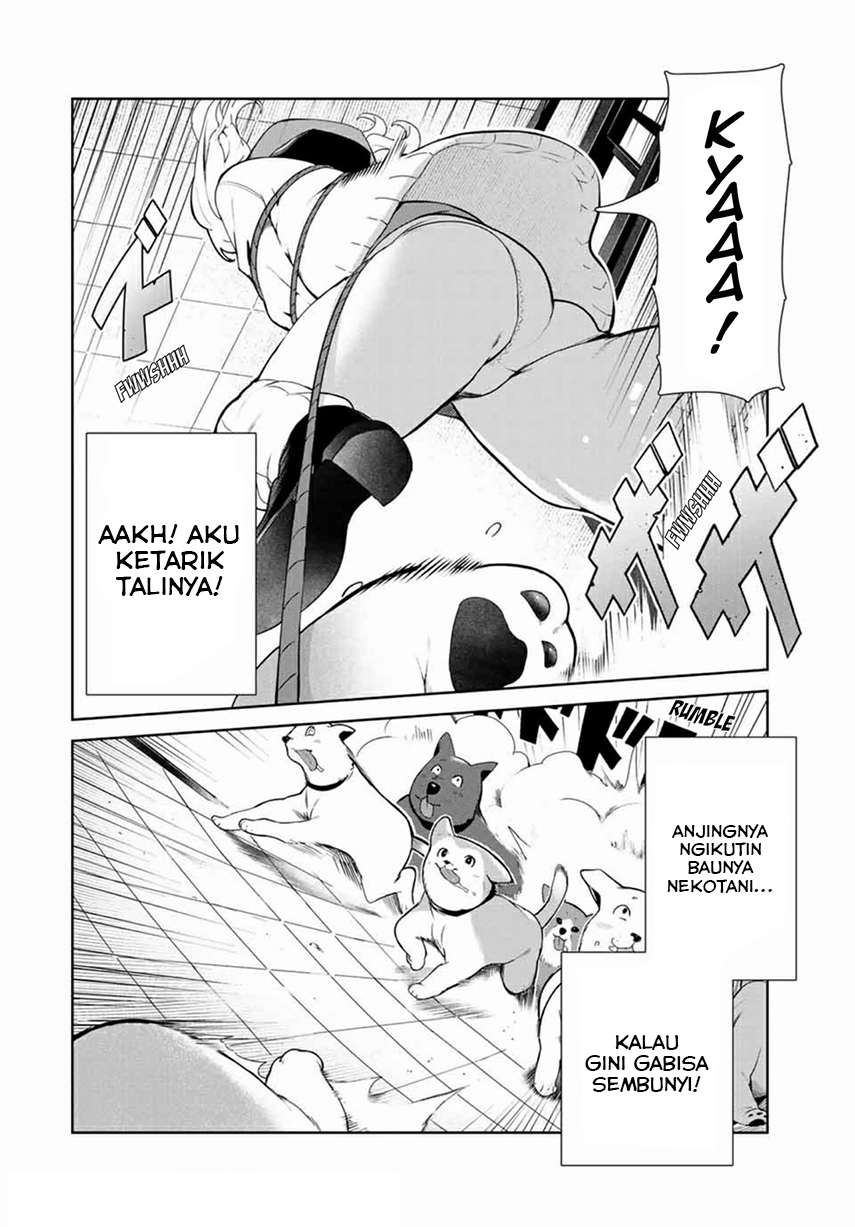 inu-ni-nattara-suki-na-hito-ni-hirowareta - Chapter: 14