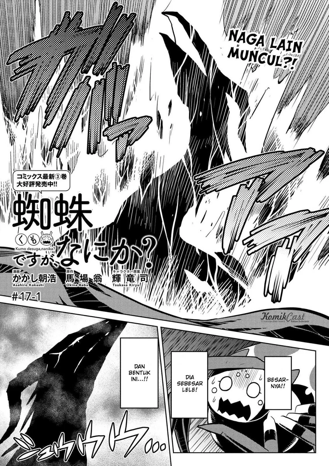 kumo-desu-ga-nani-ka - Chapter: 17.1