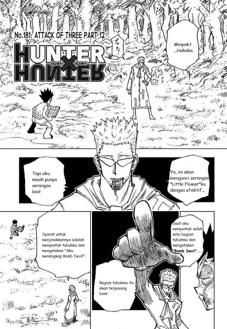 hunter-x-hunter - Chapter: 181