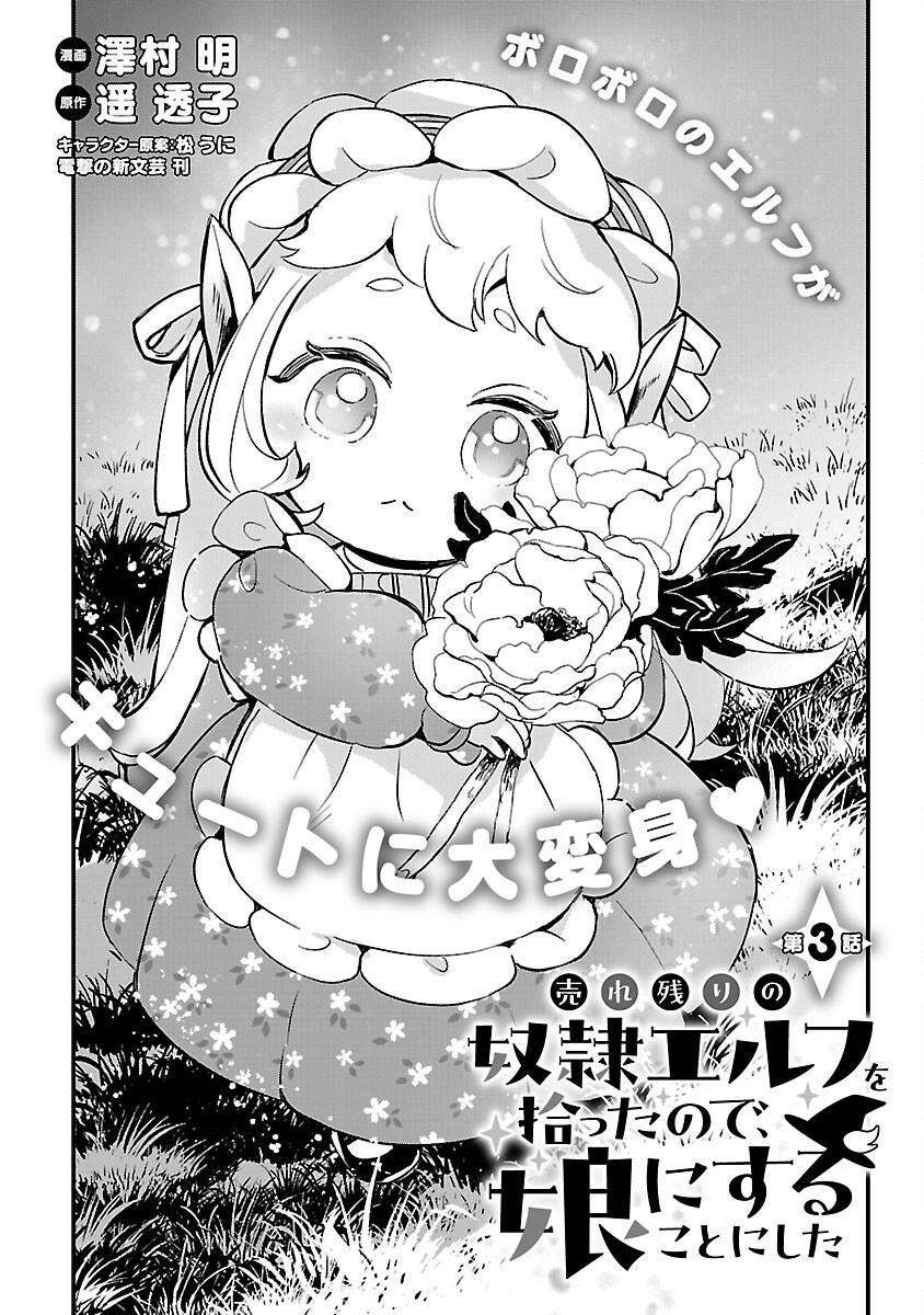 urenokori-no-dorei-elf-wo-hirotta-no-de-musume-ni-suru-koto-ni-shita - Chapter: 3