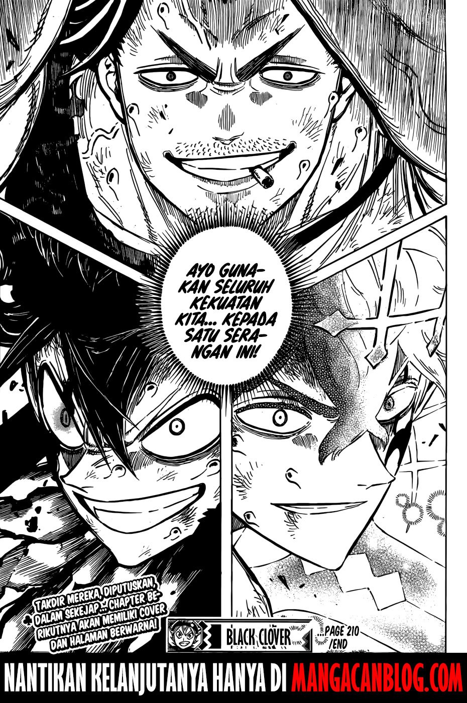 black-clover - Chapter: 210