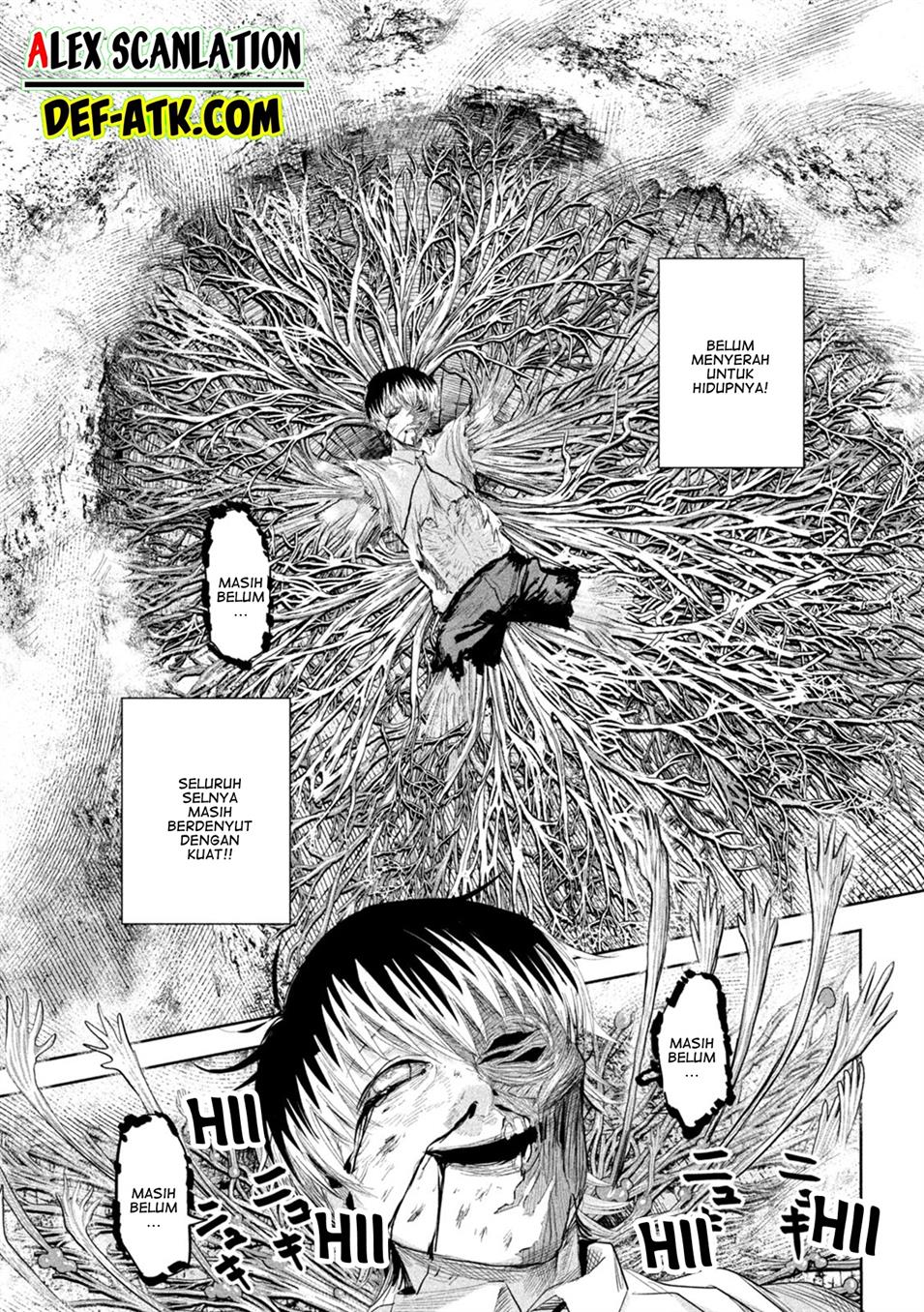 lili-men - Chapter: 41