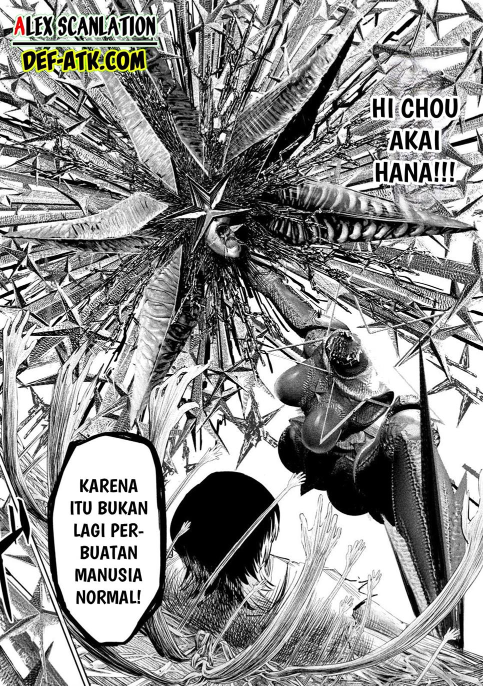 lili-men - Chapter: 41