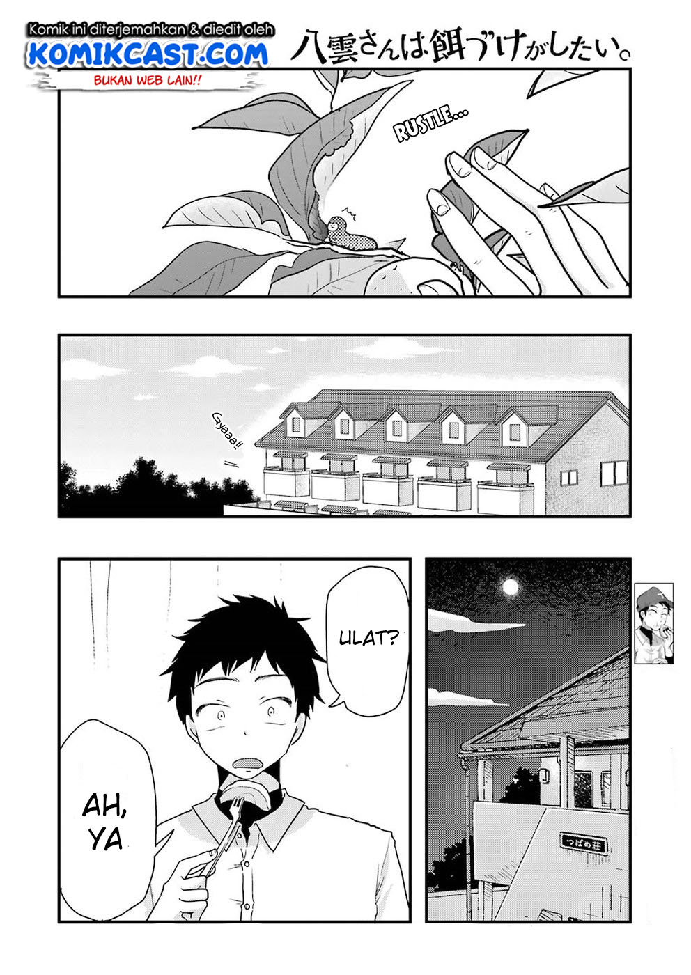 yakumo-san-wa-edzuke-ga-shitai - Chapter: 46