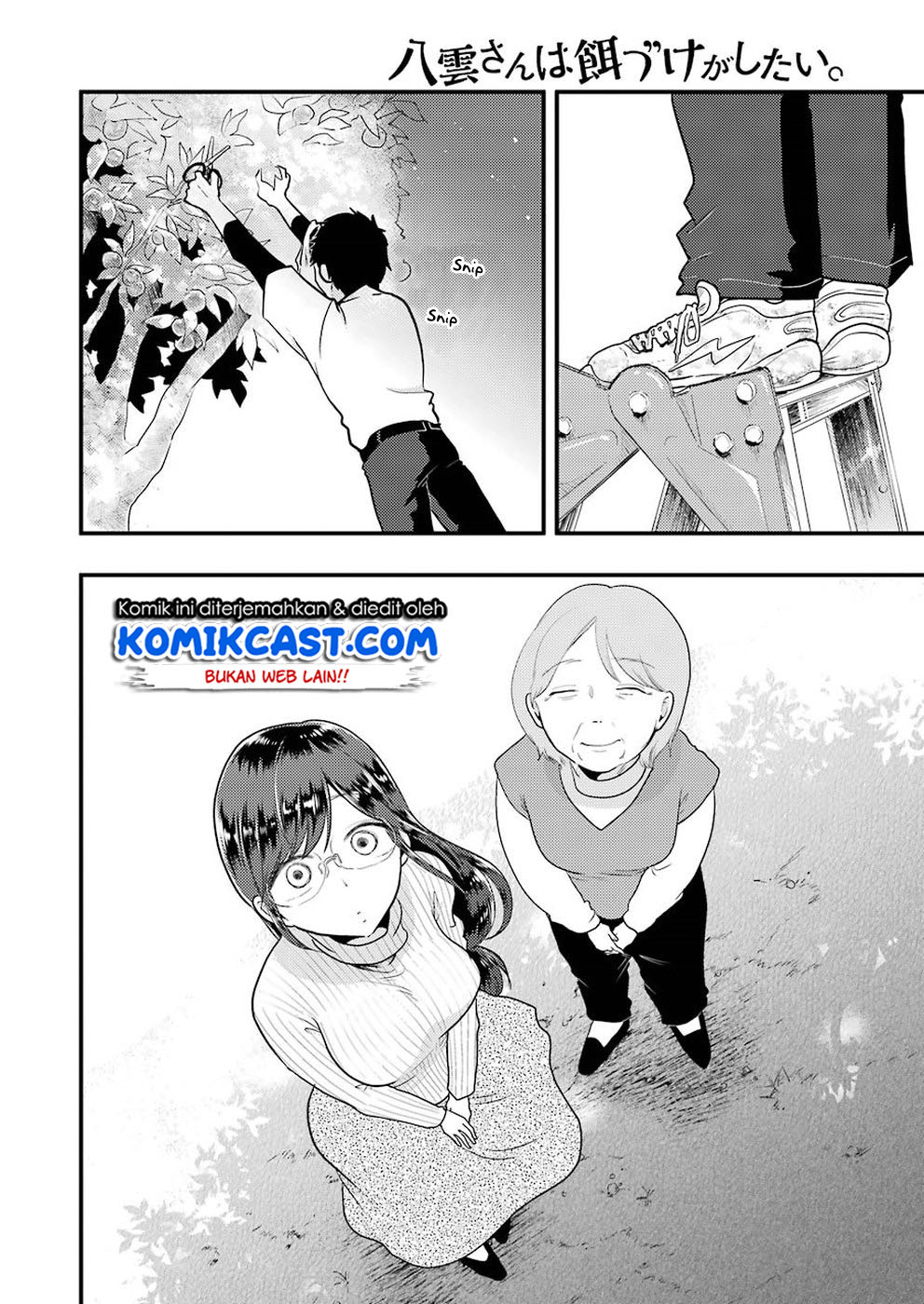 yakumo-san-wa-edzuke-ga-shitai - Chapter: 46