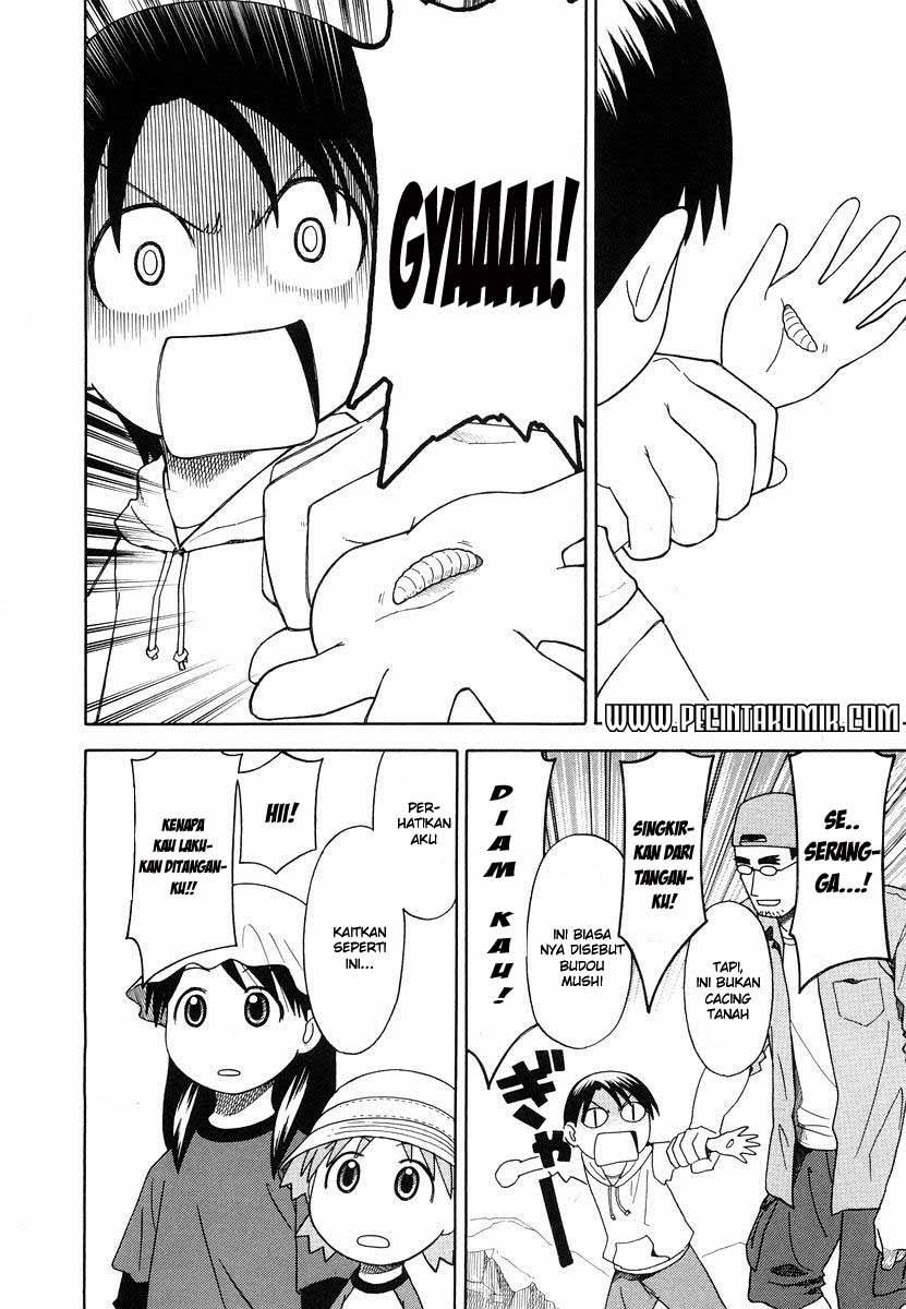 yotsuba-to - Chapter: 23