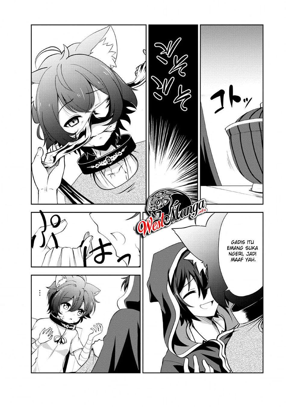 shinka-no-mi - Chapter: 22