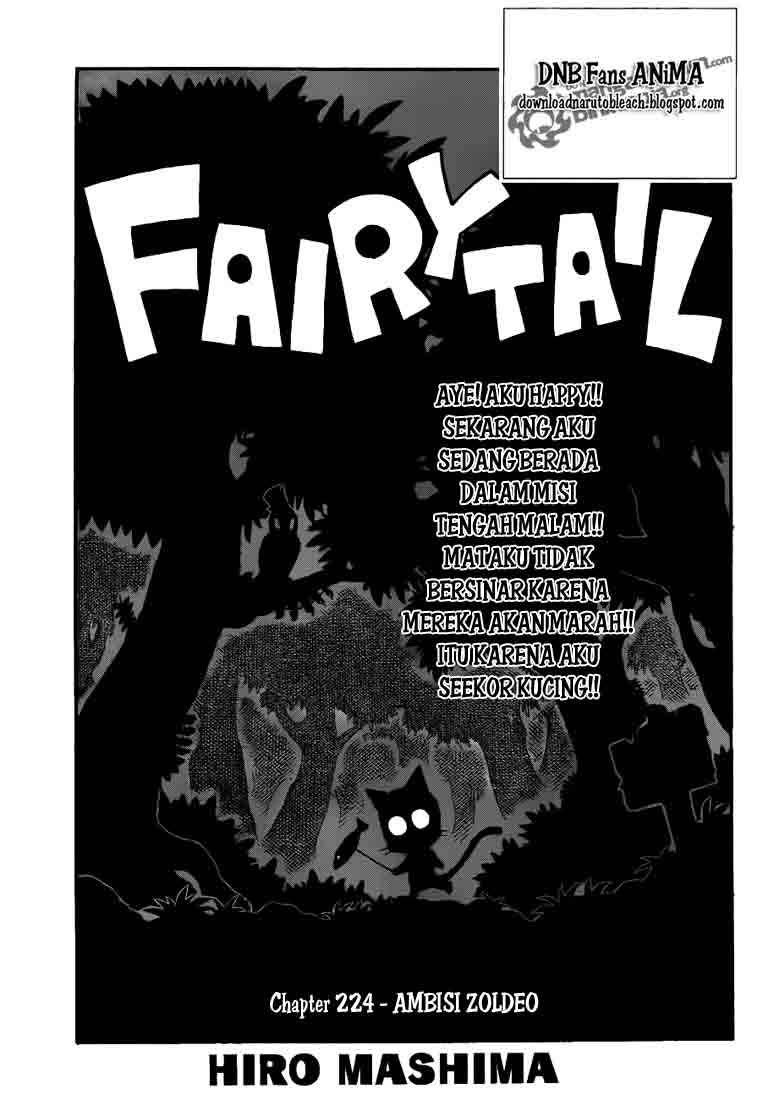 fairy-tail - Chapter: 224