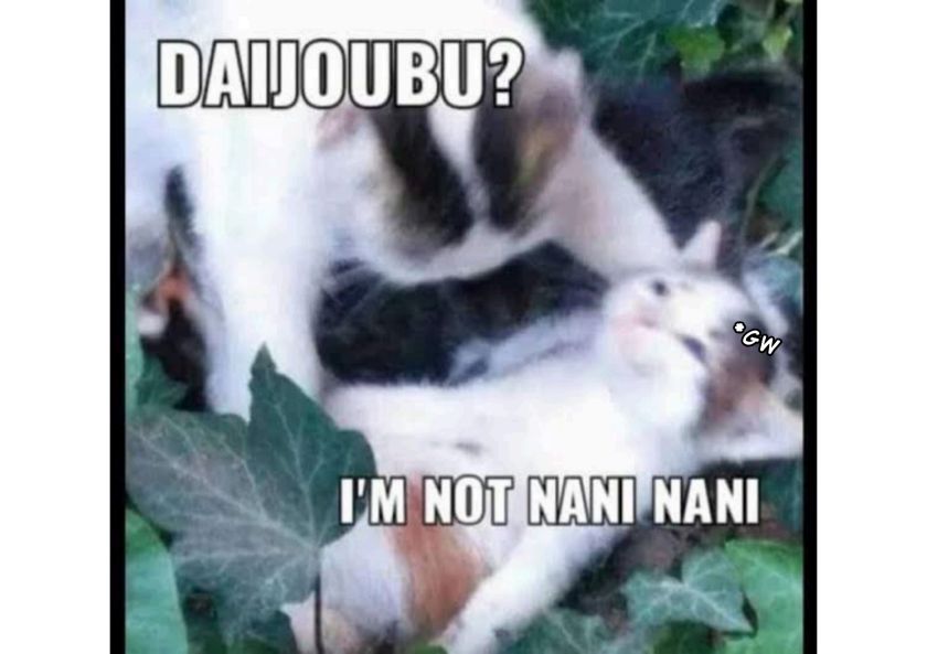 hanninmae-no-koibito - Chapter: 20