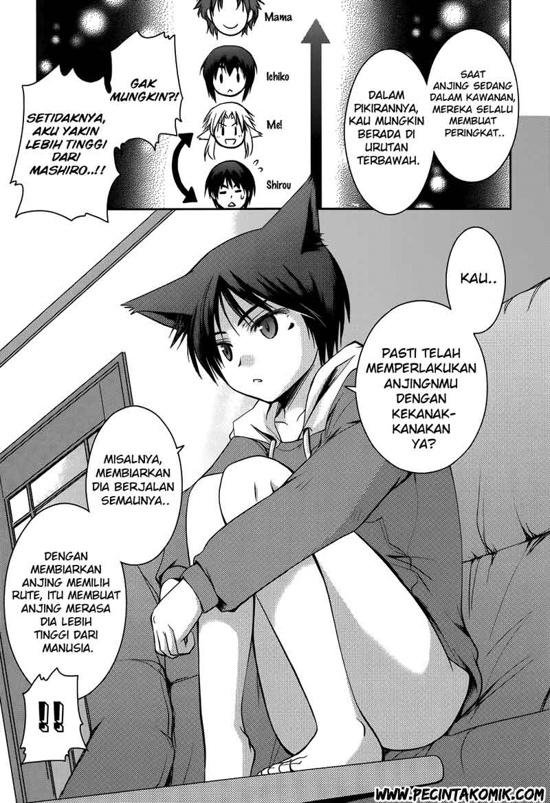 perowan-hayaku-shinasai-goshujinsama - Chapter: 11