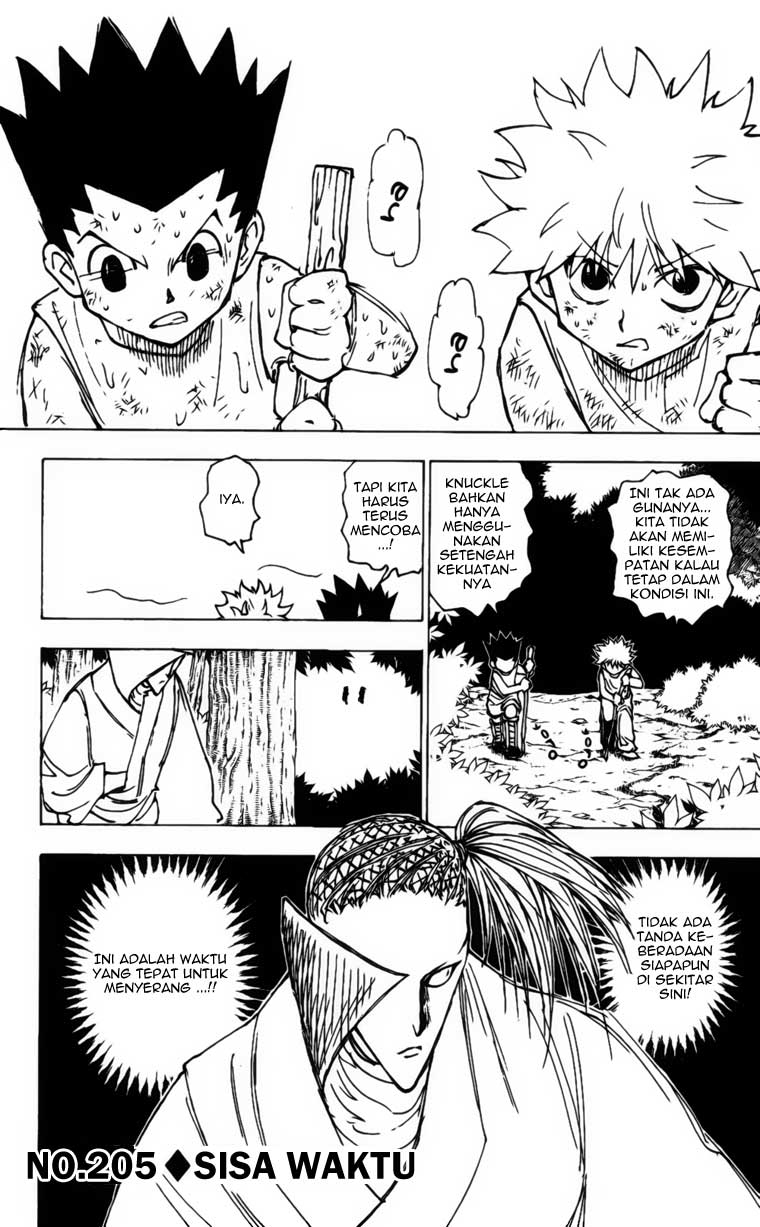 hunter-x-hunter - Chapter: 205