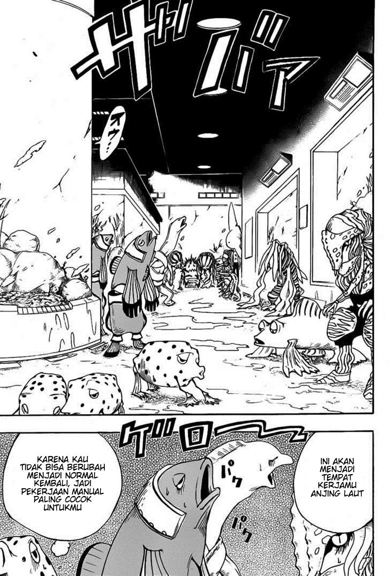 oumagadoki-zoo - Chapter: 12