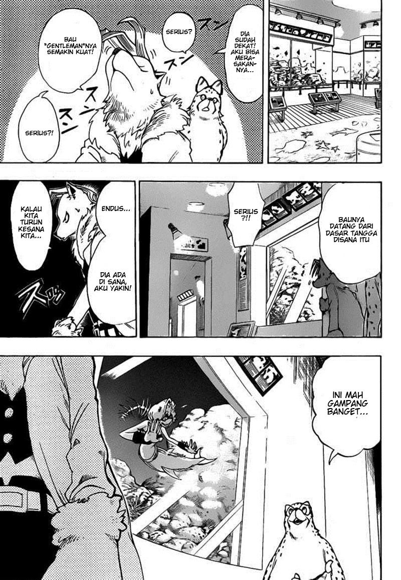 oumagadoki-zoo - Chapter: 14