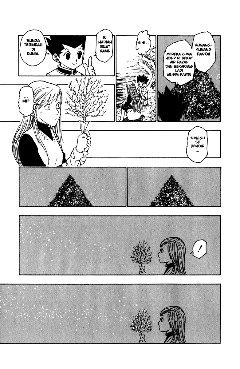 hunter-x-hunter - Chapter: 218