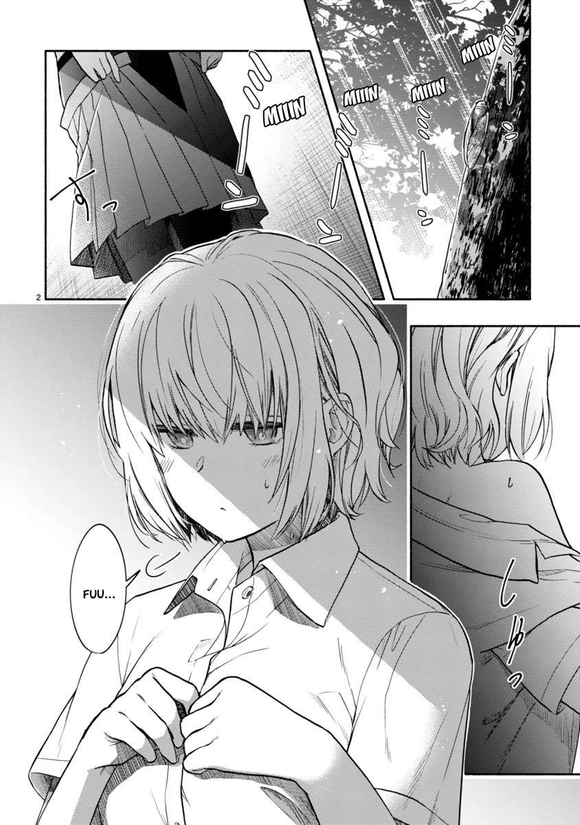 miseru-mitsumeru-futari-dake - Chapter: 4