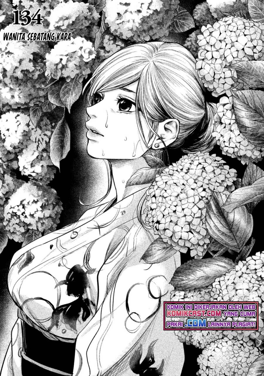 hare-kon - Chapter: 134