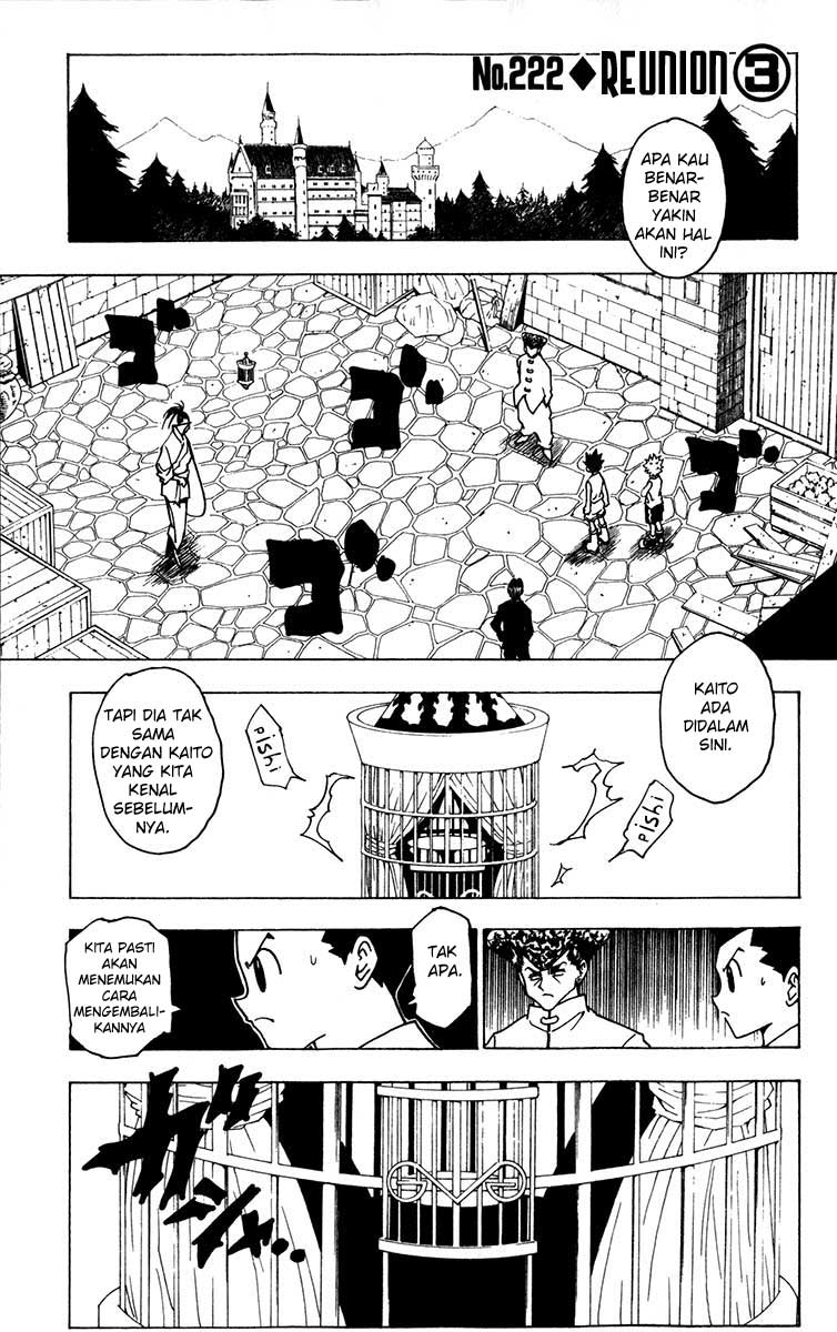hunter-x-hunter - Chapter: 222