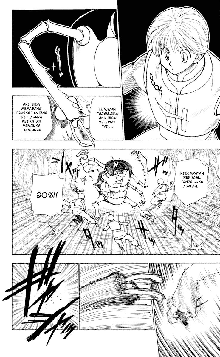hunter-x-hunter - Chapter: 226