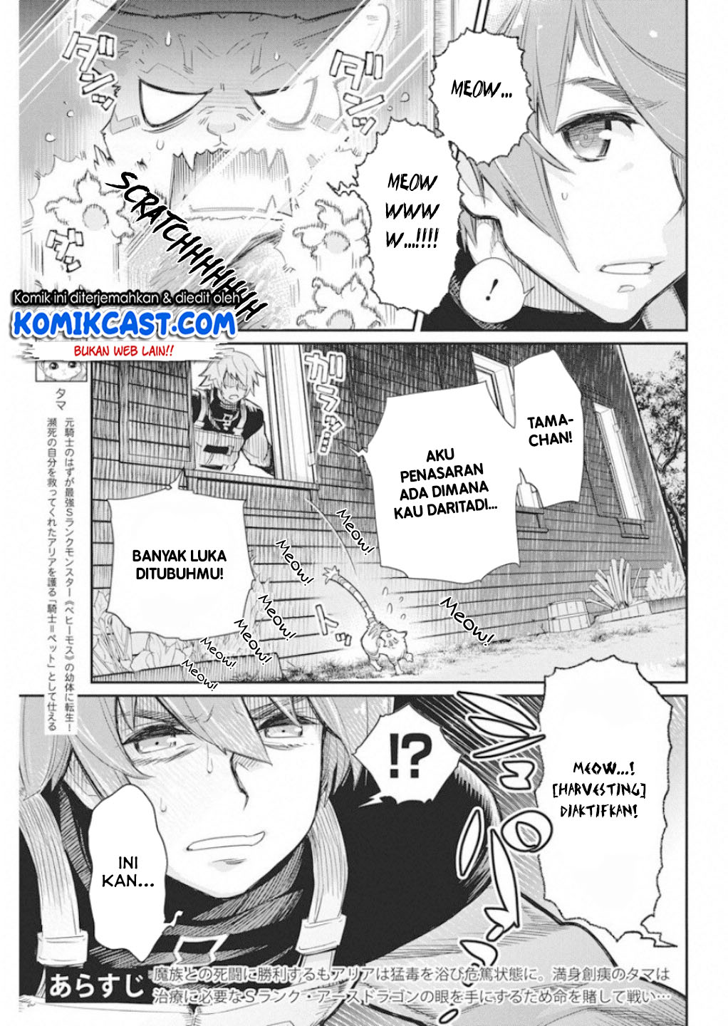 s-rank-monster-no-behemoth-dakedo-neko-to-machigawarete-erufu-musume-no-kishi-pet-toshite-kurashitemasu - Chapter: 16