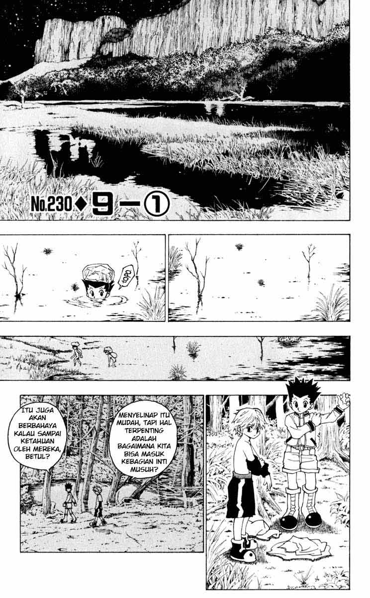 hunter-x-hunter - Chapter: 230
