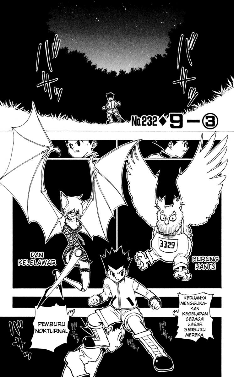 hunter-x-hunter - Chapter: 232