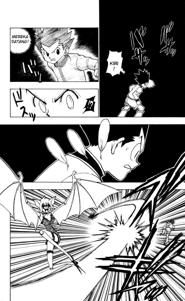 hunter-x-hunter - Chapter: 232