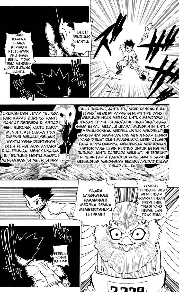 hunter-x-hunter - Chapter: 232