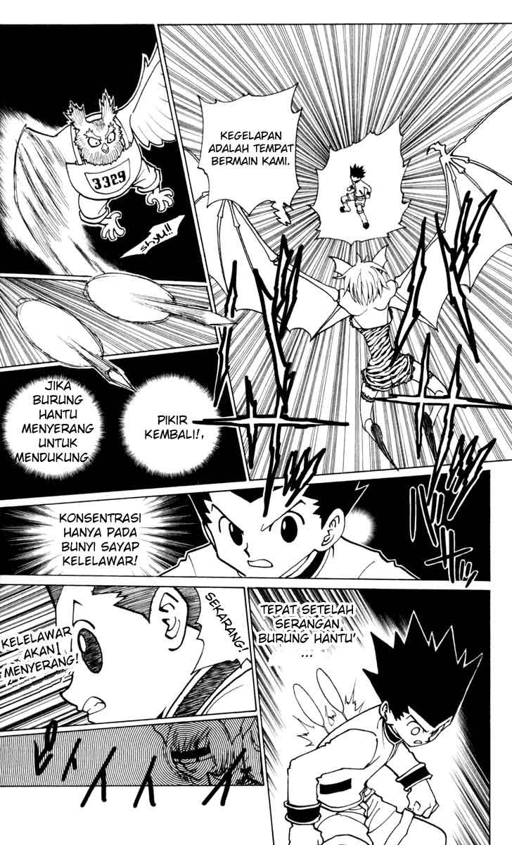 hunter-x-hunter - Chapter: 232