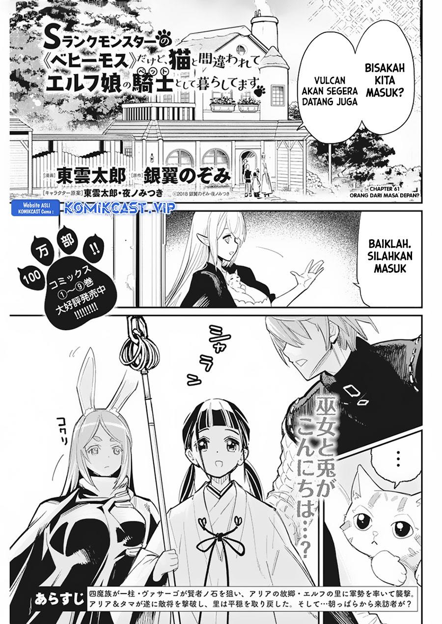 s-rank-monster-no-behemoth-dakedo-neko-to-machigawarete-erufu-musume-no-kishi-pet-toshite-kurashitemasu - Chapter: 61