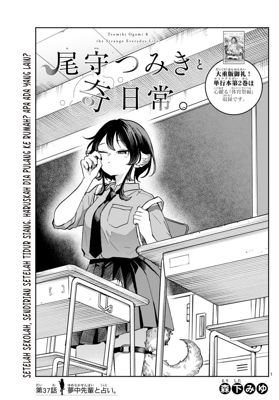 ogami-tsumiki-to-kinichijou - Chapter: 37