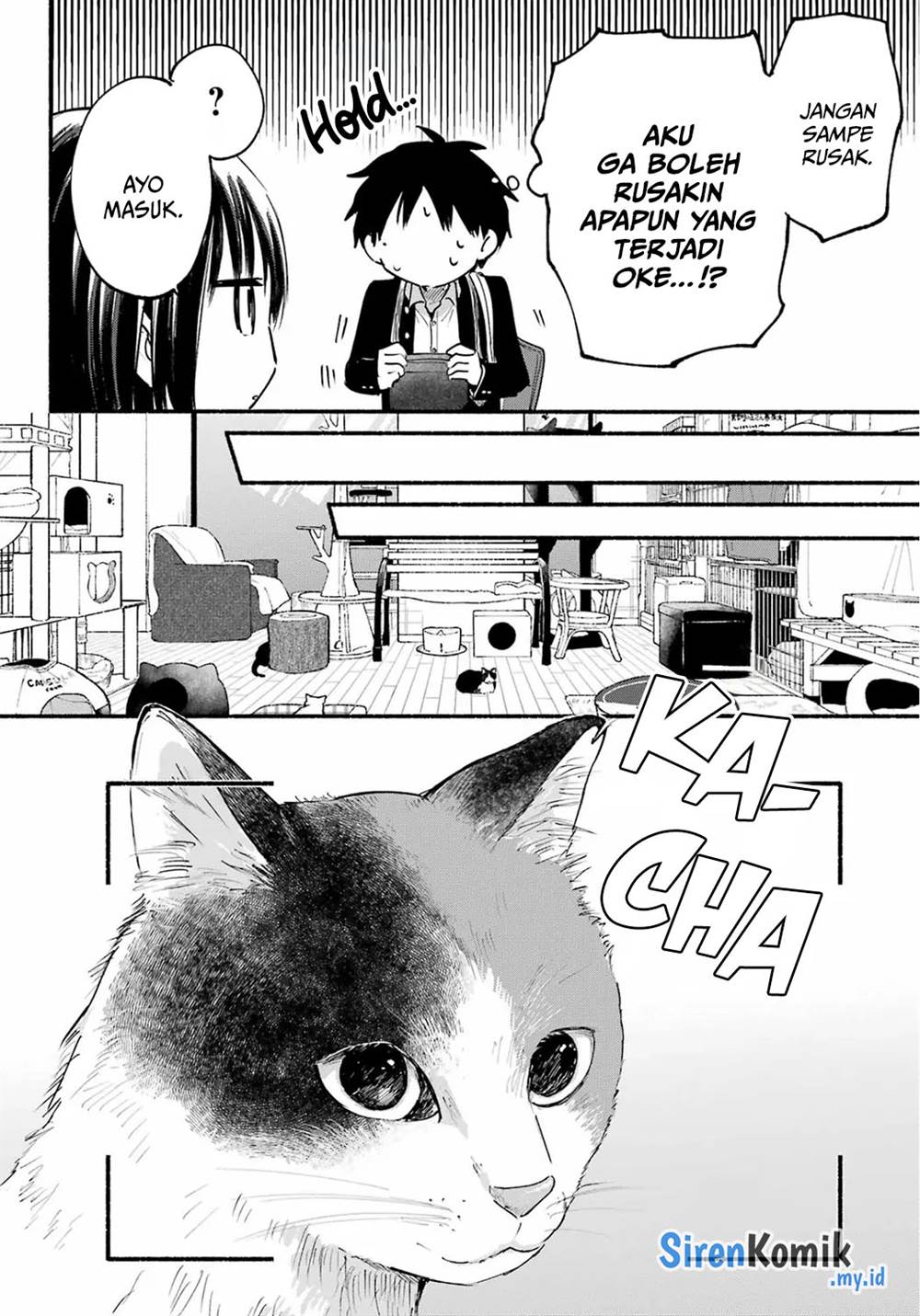 tonari-no-neko-to-koi-shirazu - Chapter: 15