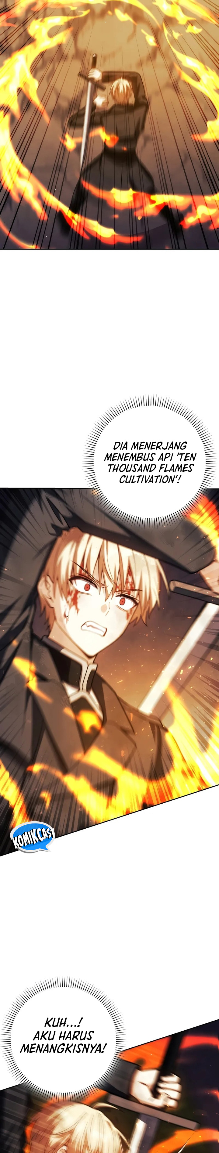 the-reincarnated-assassin-is-a-genius-swordsman - Chapter: 47