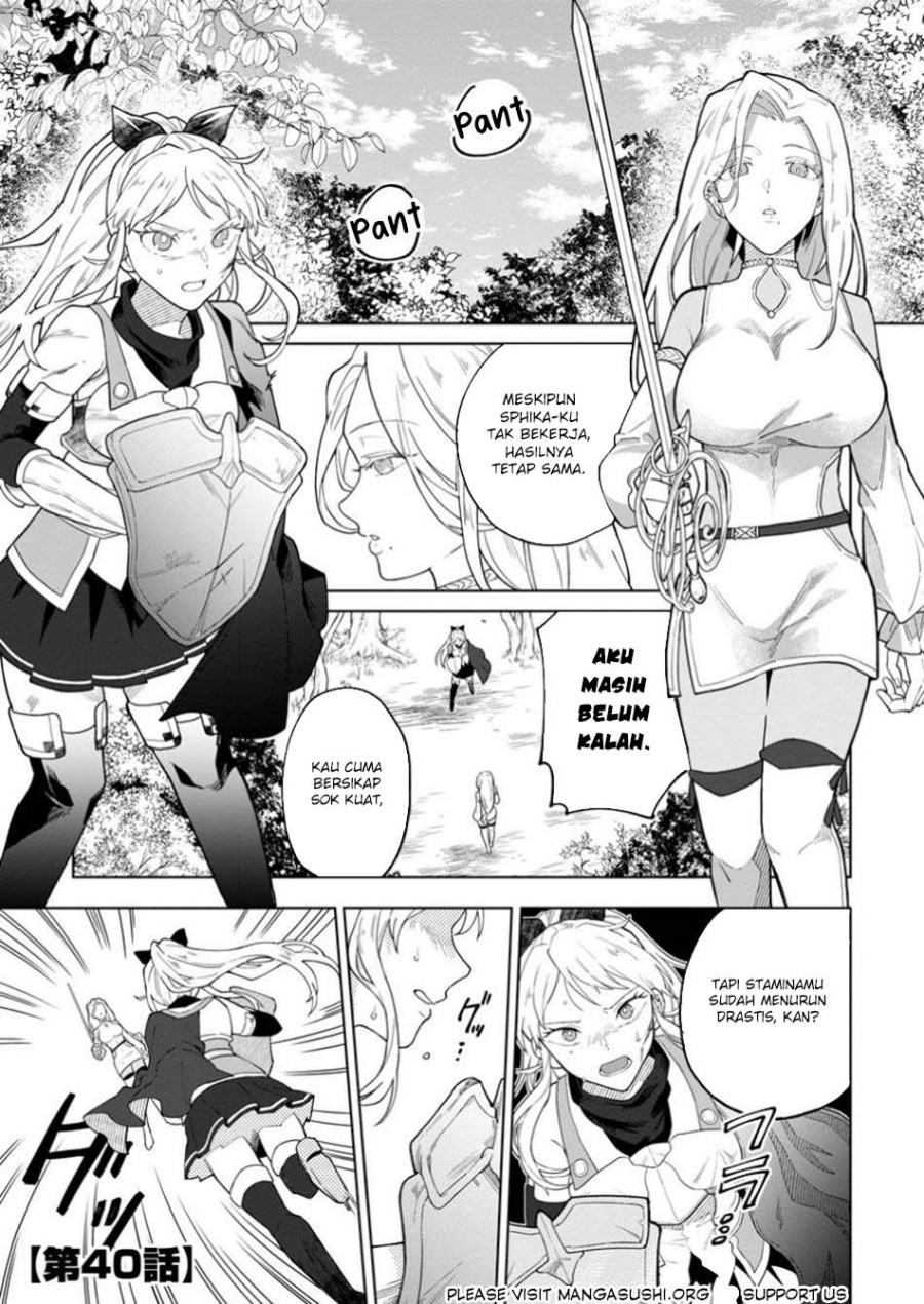 the-white-mage-who-was-banished-from-the-heros-party-is-picked-up-by-an-s-rank-adventurer-this-white-mage-is-too-out-of-the-ordinary - Chapter: 40