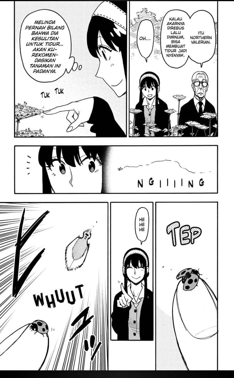 spy-x-family - Chapter: 115