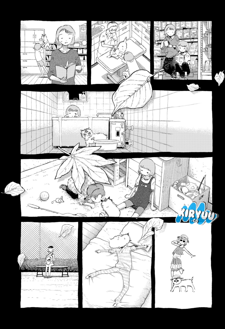stellar-friend - Chapter: 13