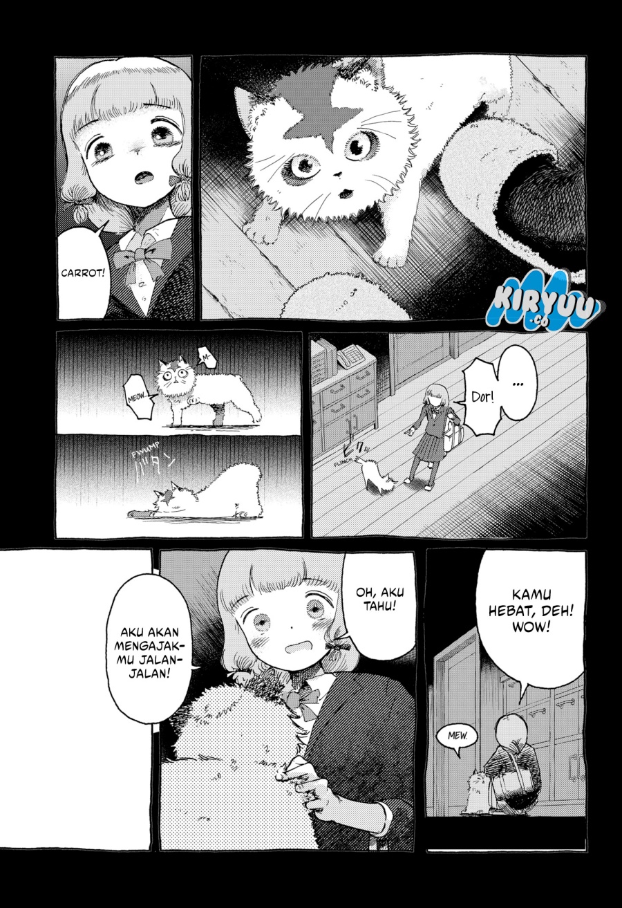 stellar-friend - Chapter: 13