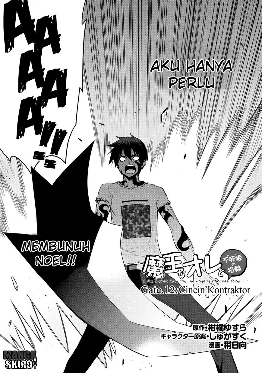 maou-na-ore-to-fushihime-no-yubiwa - Chapter: 12