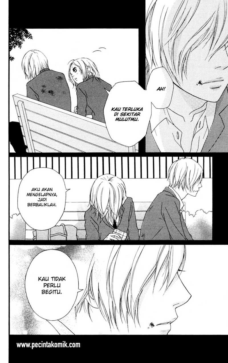 strobe-edge - Chapter: 33